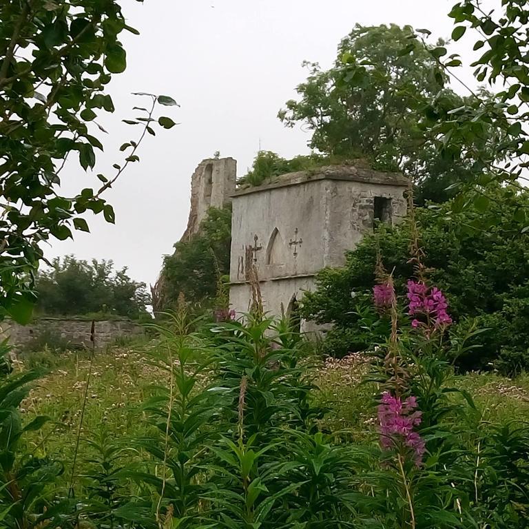 Galway Glamping Hotel Tuam Exterior foto