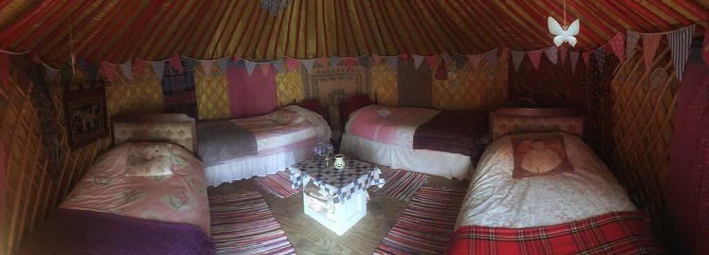 Galway Glamping Hotel Tuam Exterior foto